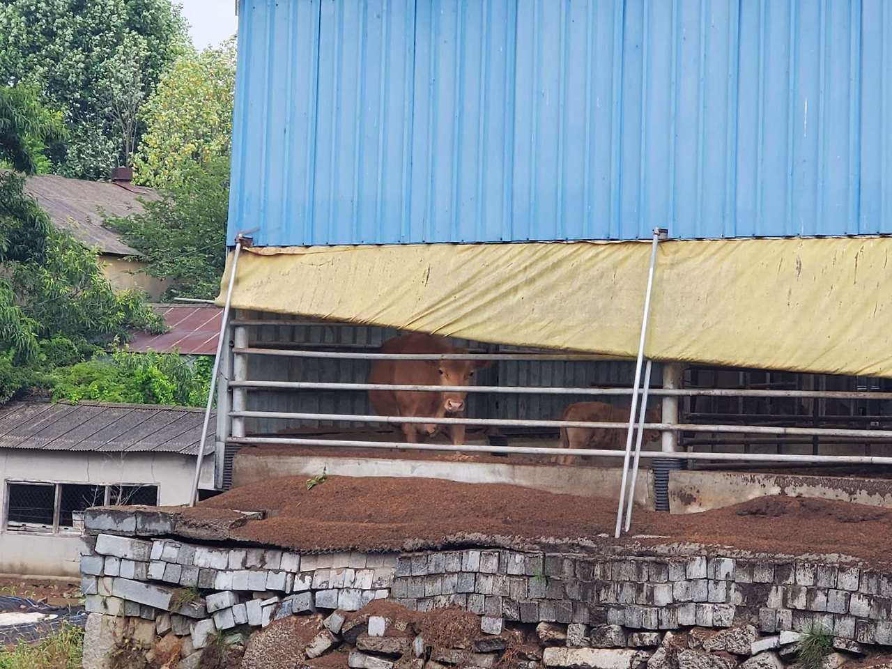 Weixin Image_20240625133526.jpg