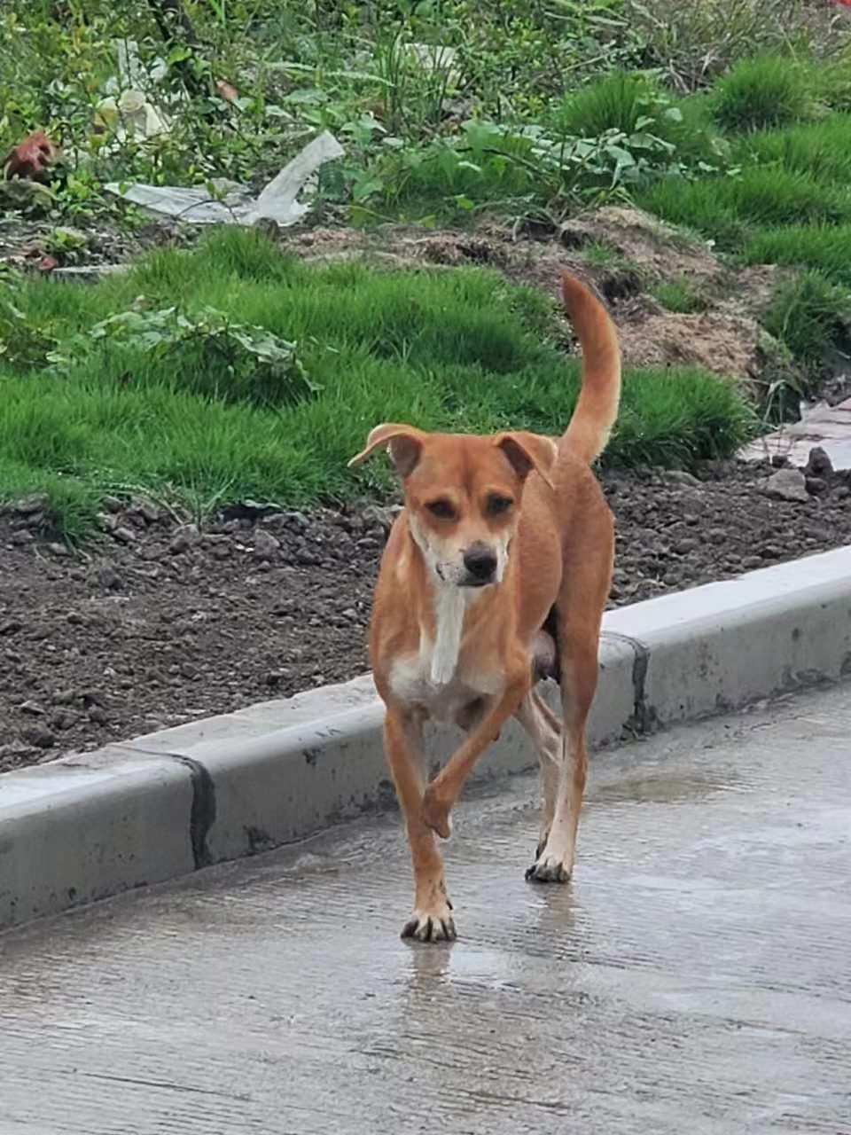 Weixin Image_20241008140215.jpg