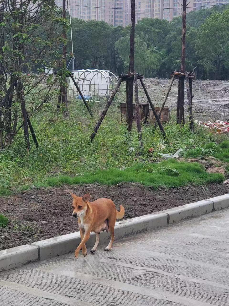 Weixin Image_20241008140212.jpg