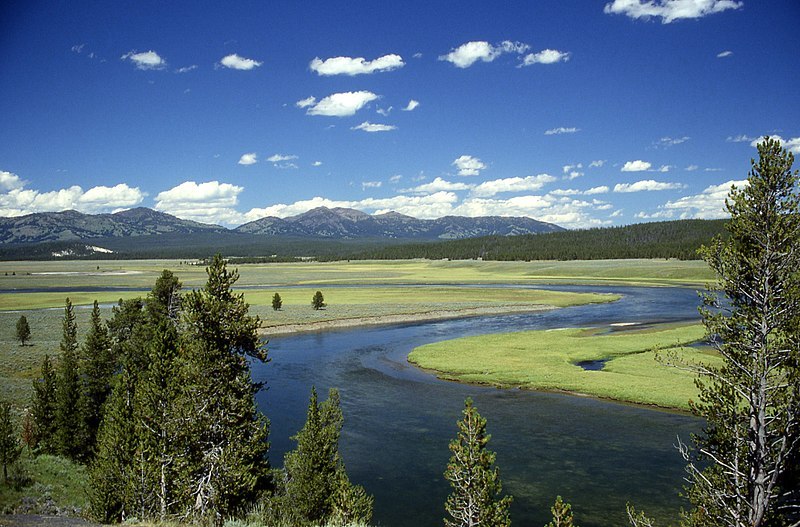 Yellowstone_River_in_Hayden_Valley.jpg
