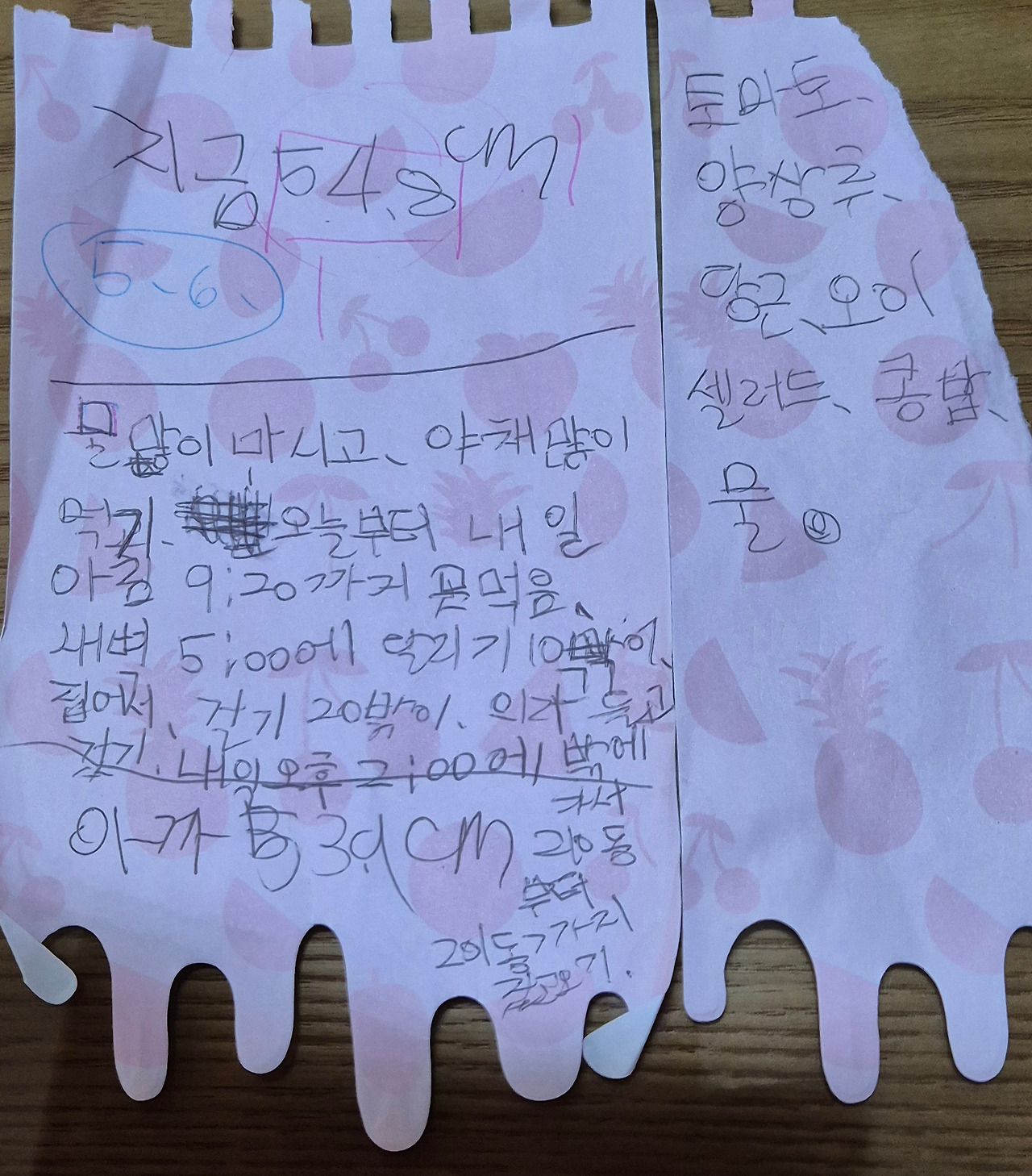 하린 다이어트 실천 표.jpg