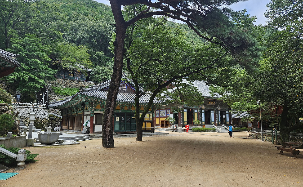 4. 선암사 경내.jpg