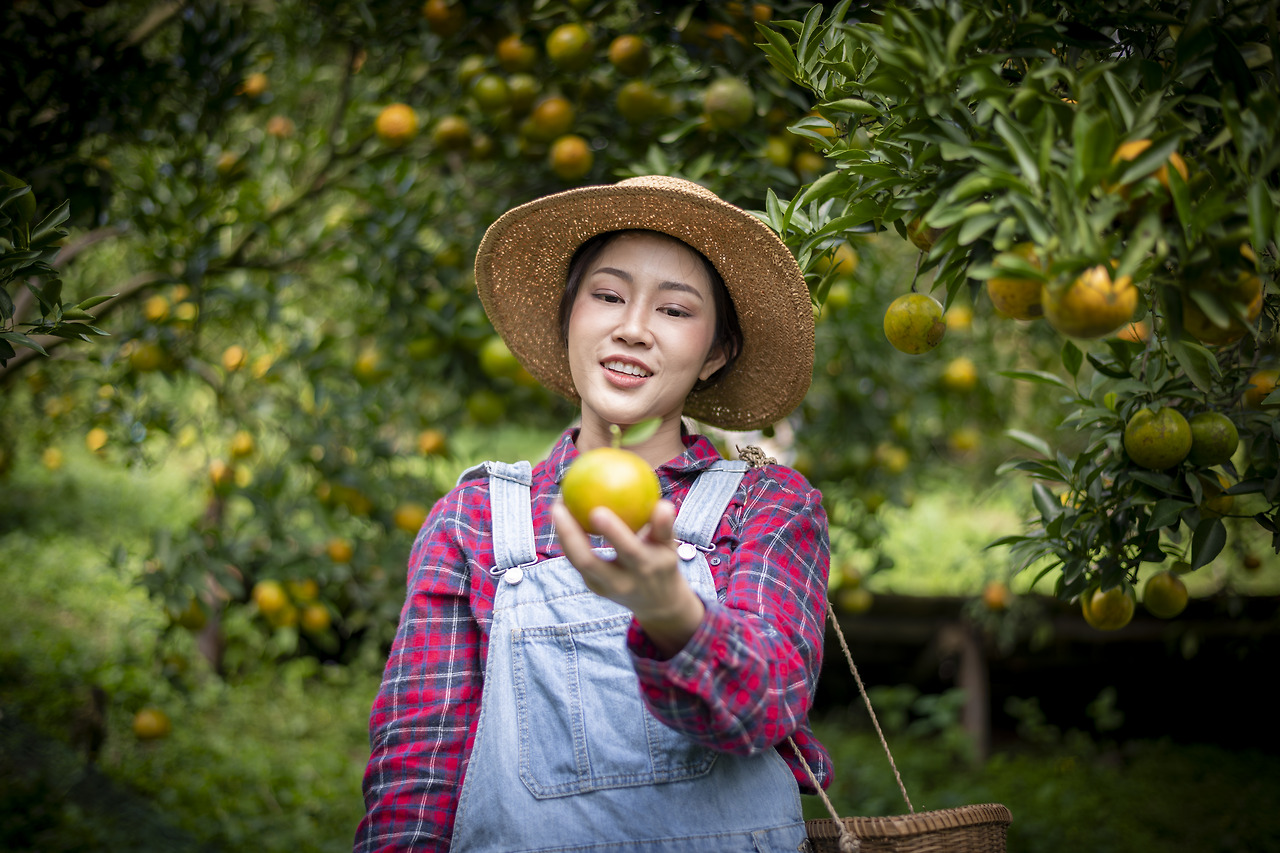 happy-woman-farmer-smiling-in-the-garden-with-bask-2024-01-12-19-08-40-utc.jpg