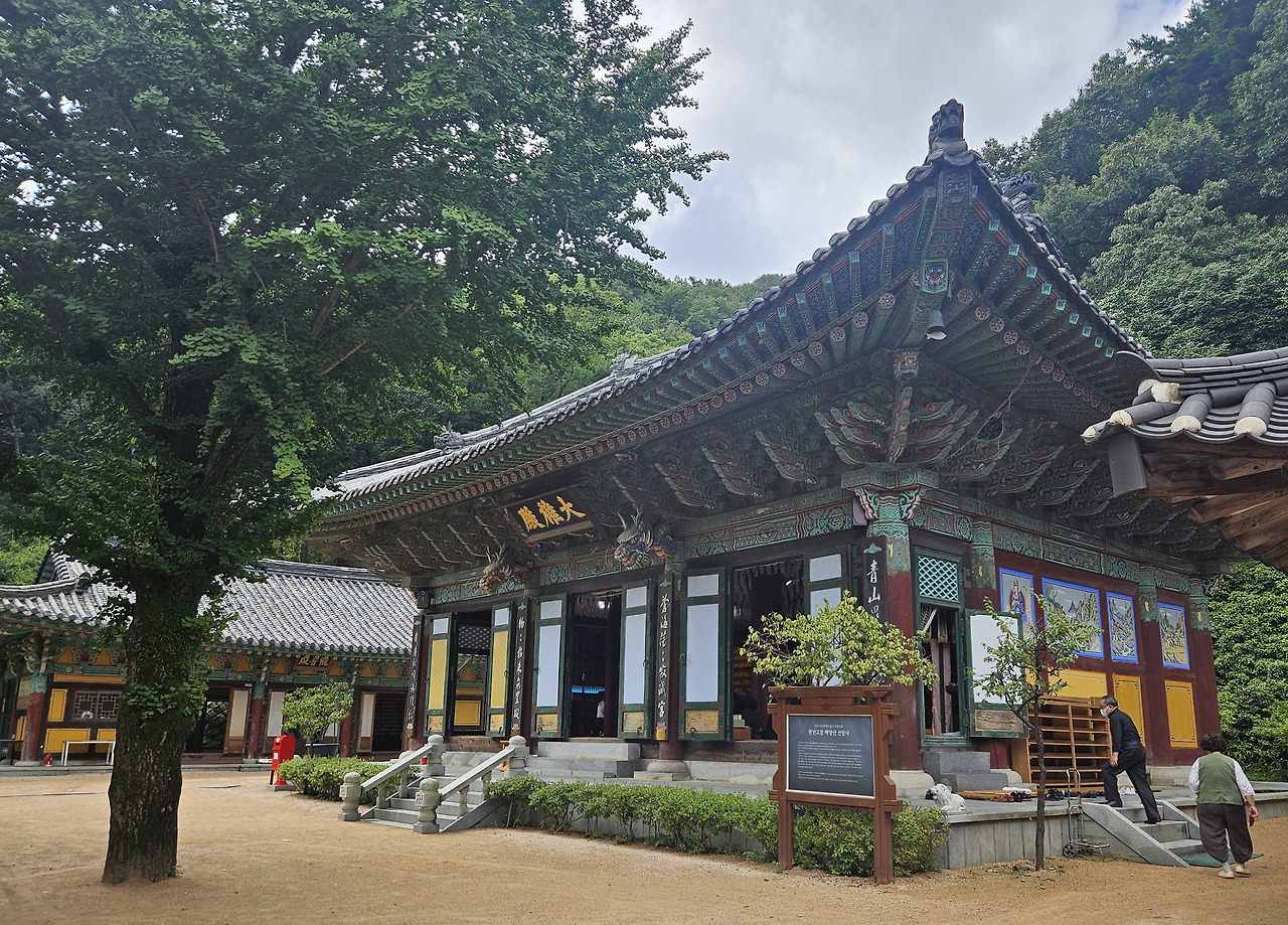 2. 대웅전.jpg