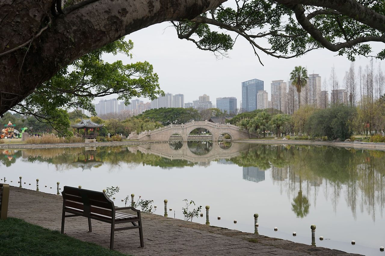 scenic-park-bench-situated-beside-a-tranquil-pond-2023-11-27-05-18-31-utc.jpg