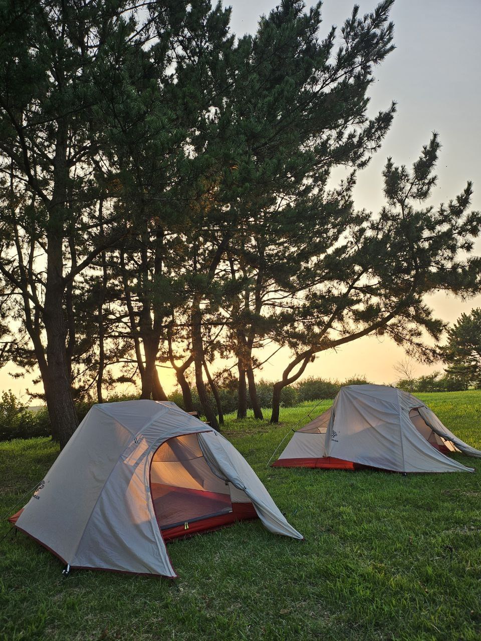 photo_2024-08-05_11-12-51 (2).jpg