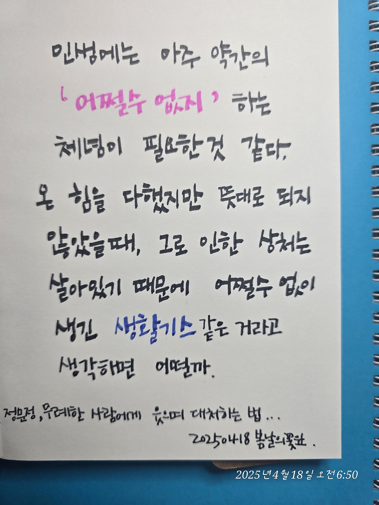무료 카지노 게임