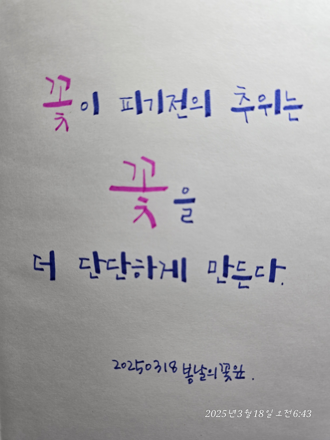 인생의 시련을 겪으며 다시 피어나는 나를 꿈꾼다