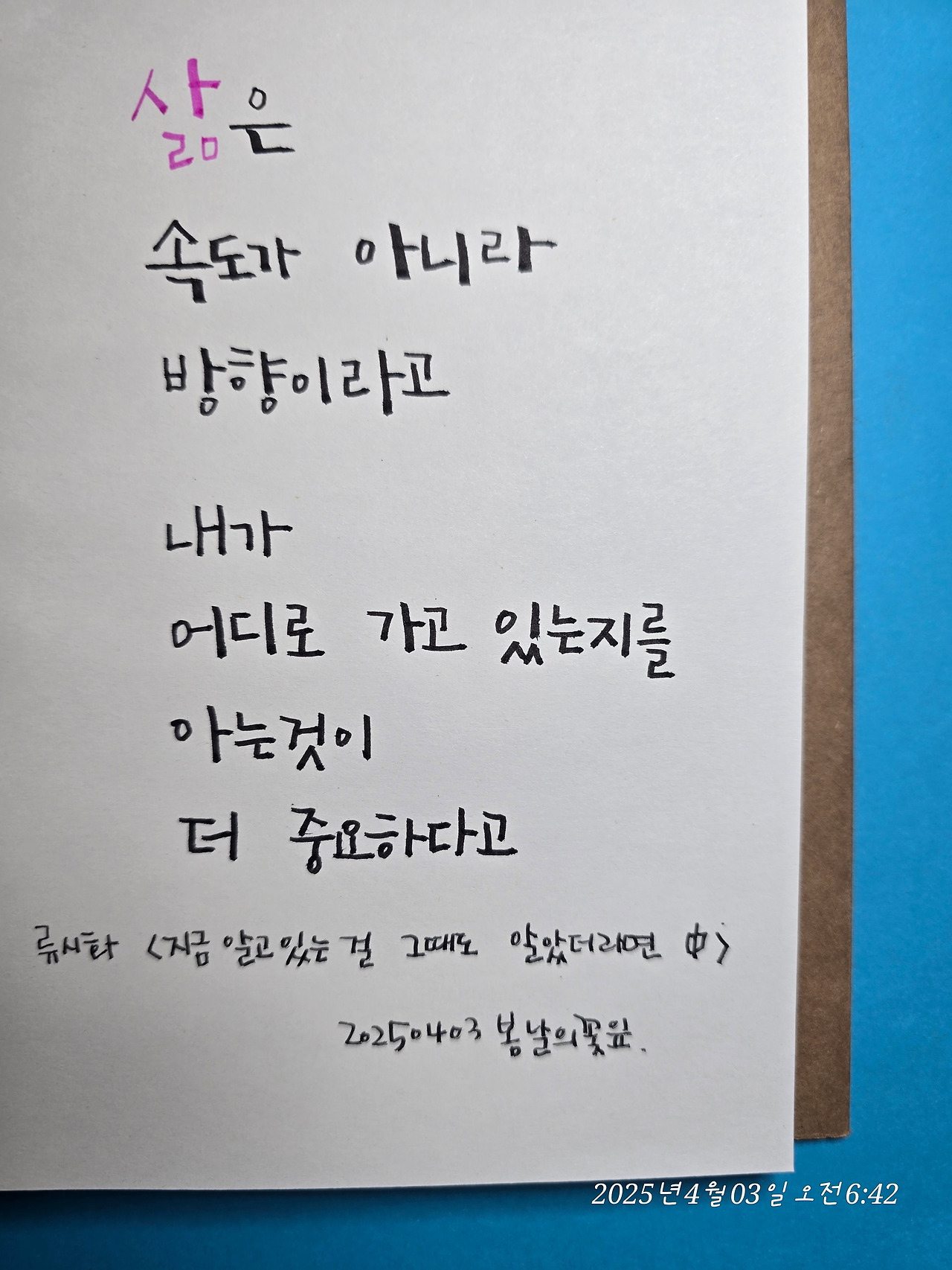 카지노 쿠폰