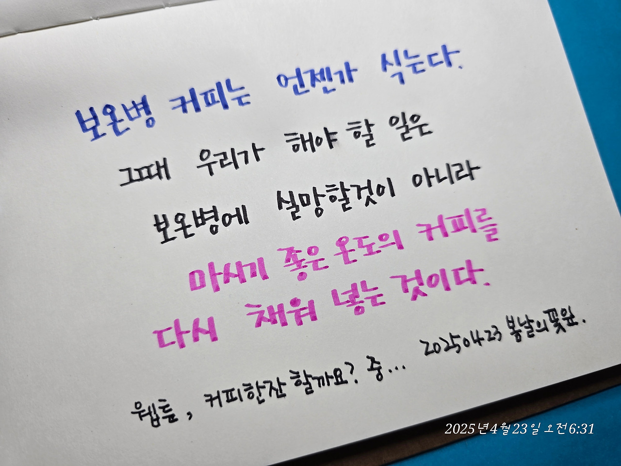 카지노 게임 사이트