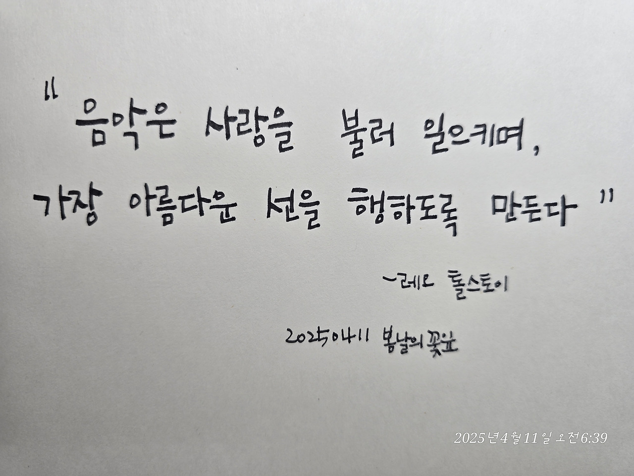 카지노 게임