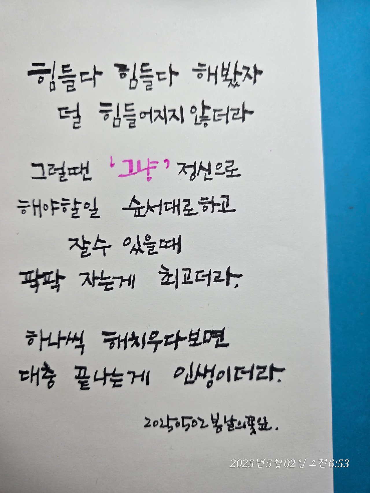 카지노 게임 사이트