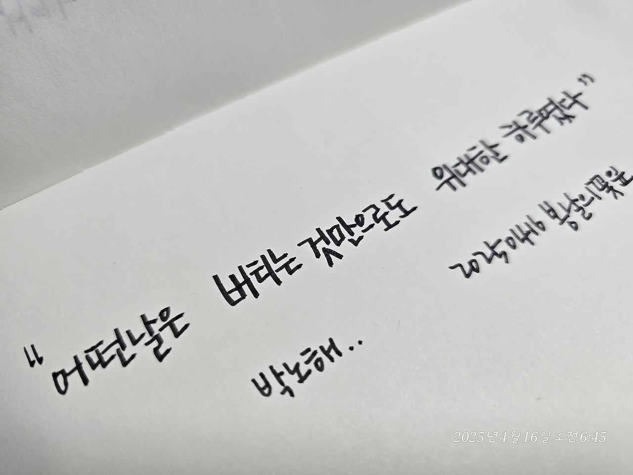 카지노 쿠폰