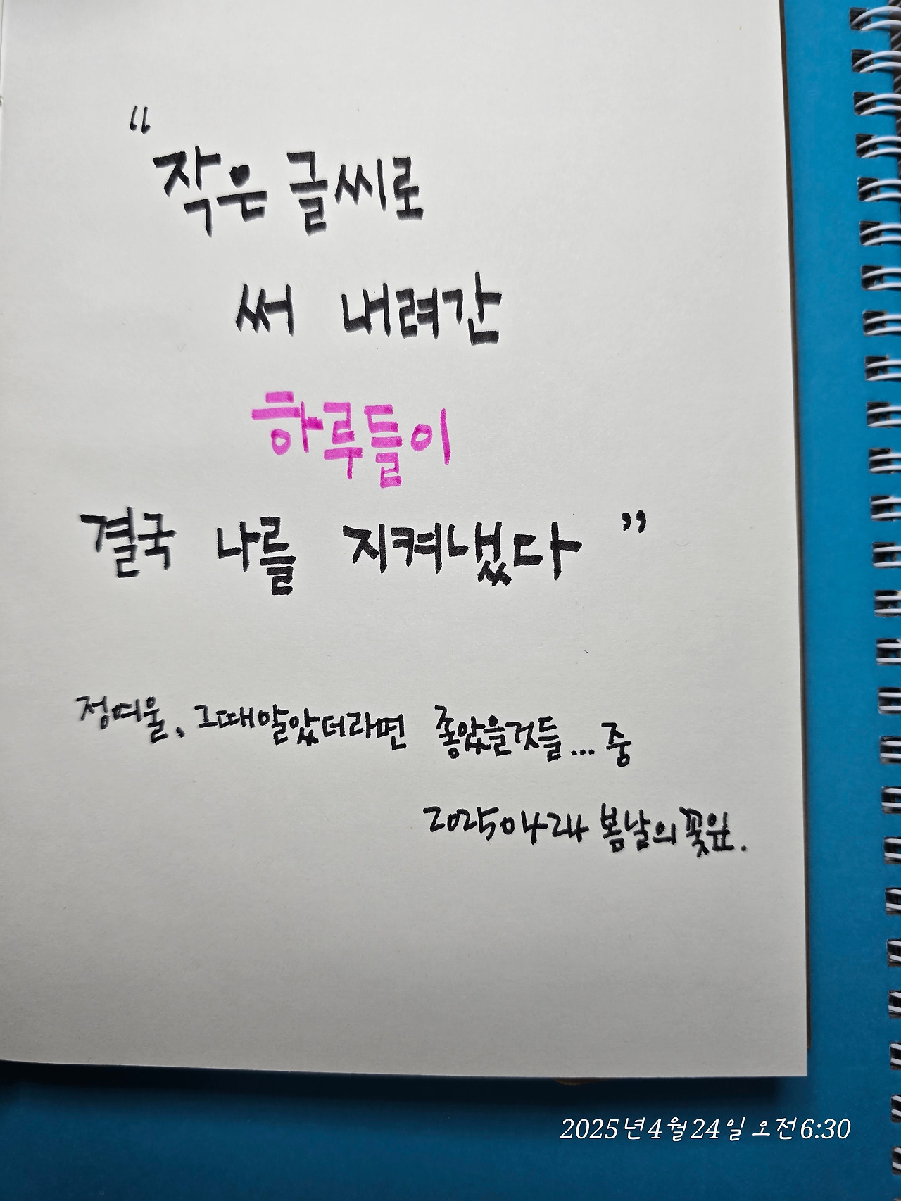 카지노 쿠폰