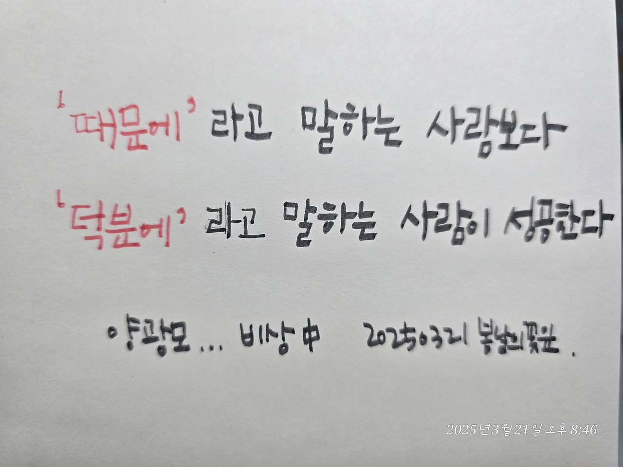 카지노 쿠폰