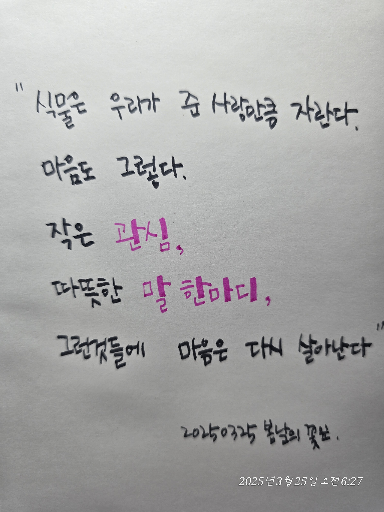 카지노 게임 추천