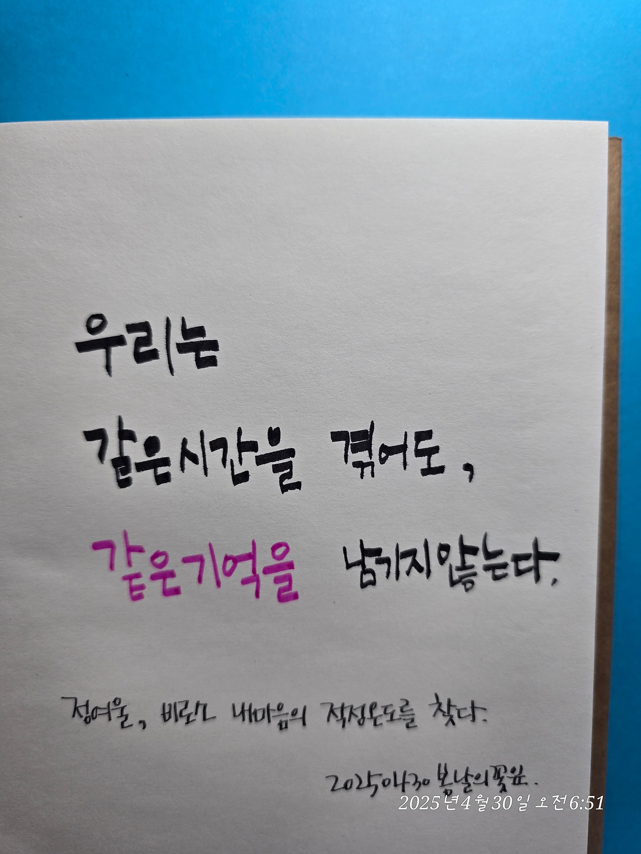 무료 카지노 게임