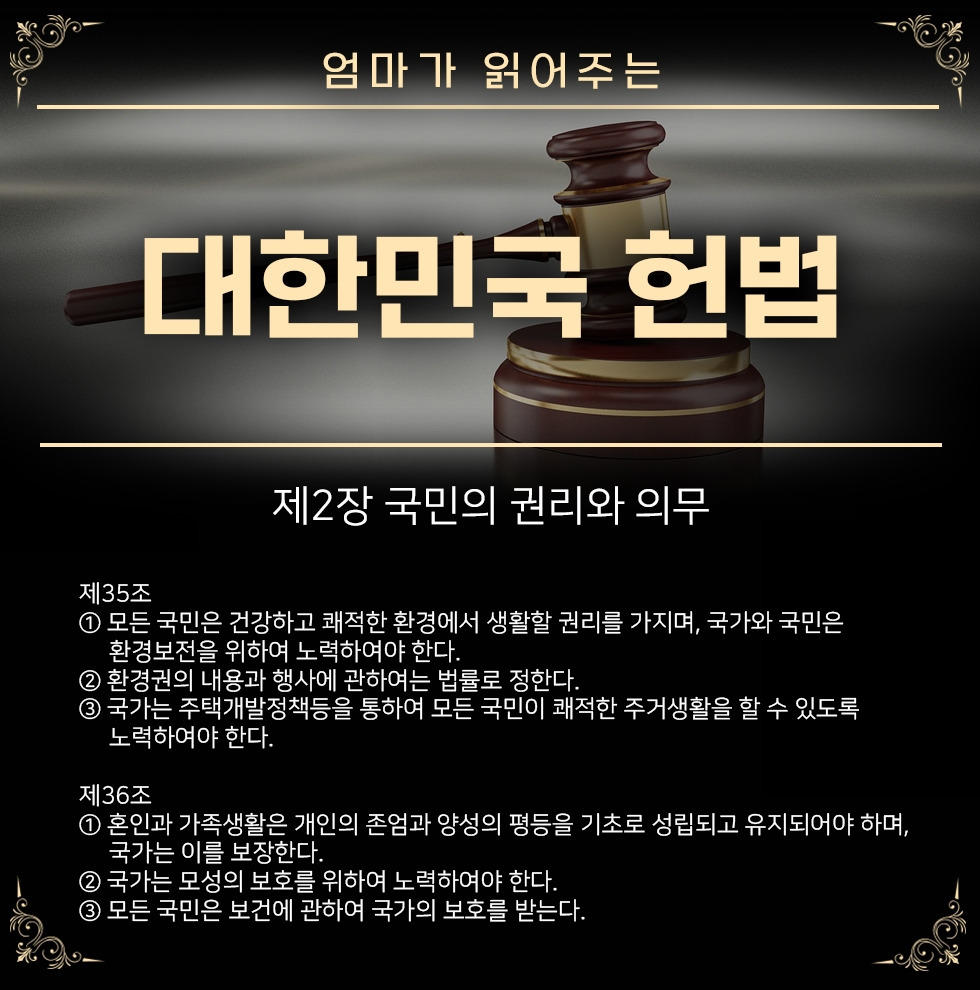 mom헌법19.jpg