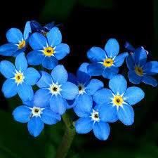 다운로드 (1).jpg