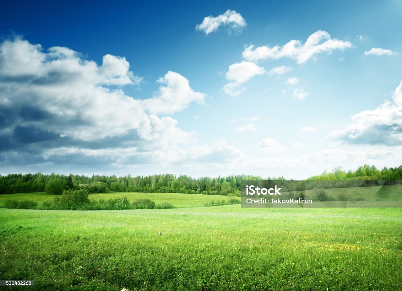 istockphoto-530482268-2048x2048.jpg