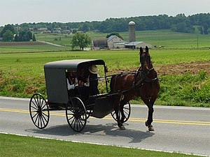 Lancaster_County_Amish_03.jpg