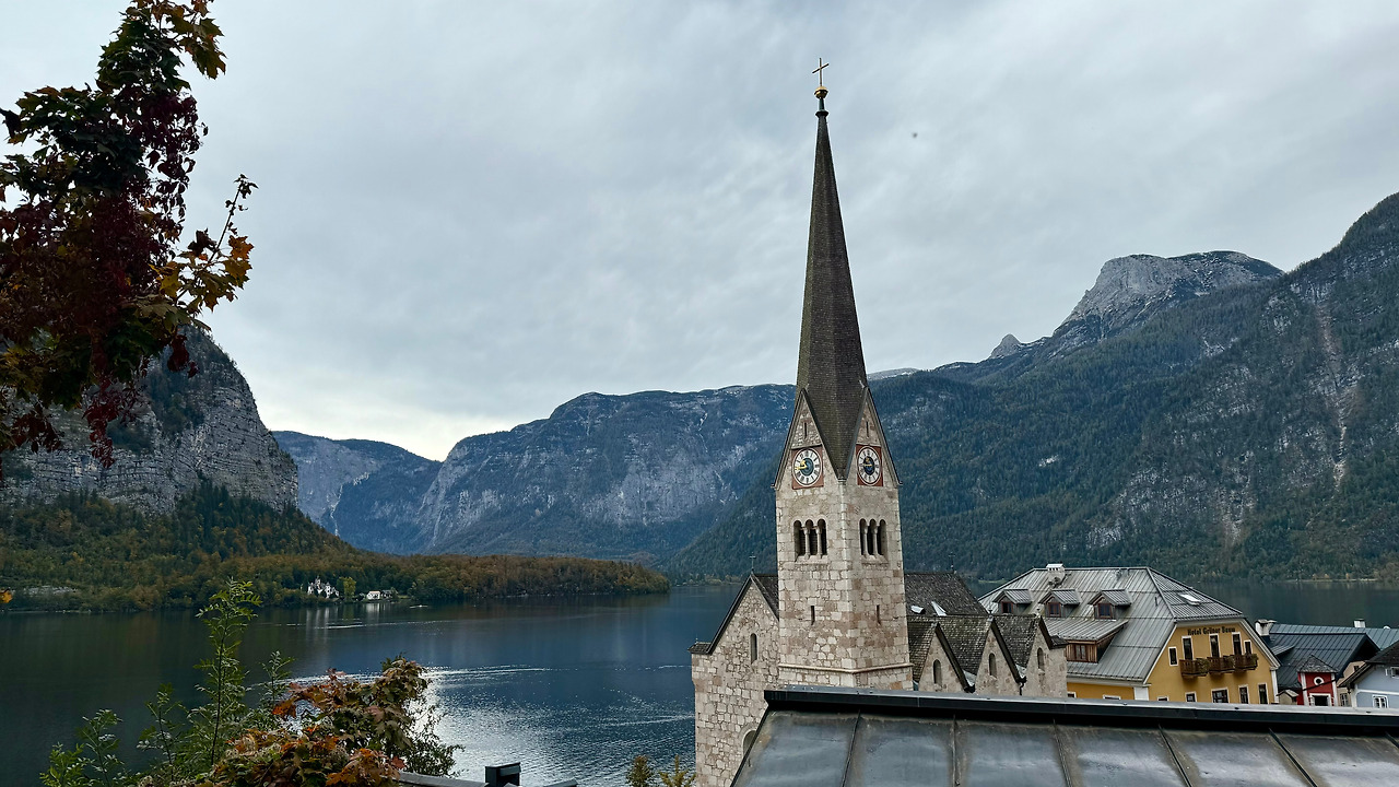 볼프강제 (5).jpg