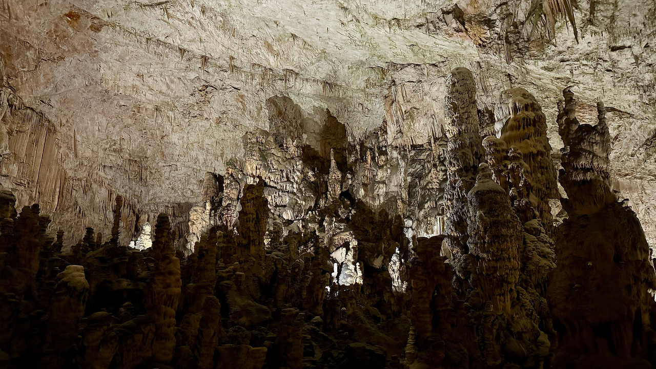 포스토이나 (4).jpg