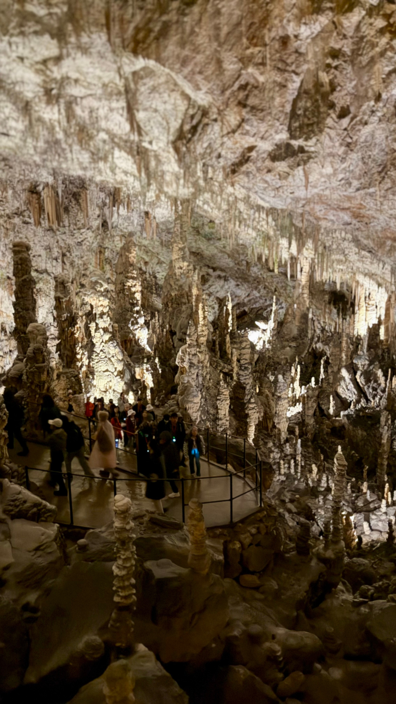 포스토이나 (5).jpg