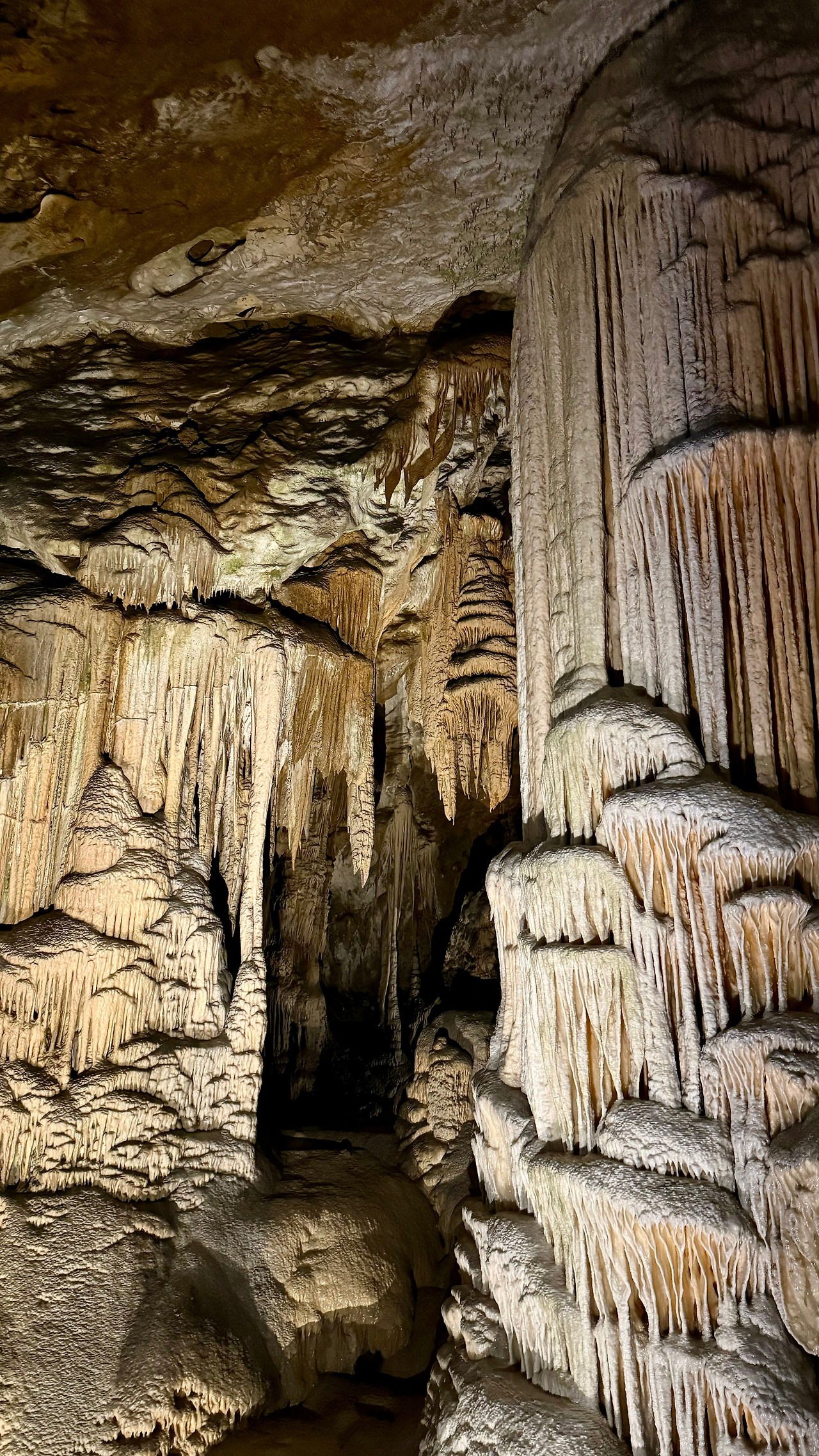 포스토이나 (9).jpg