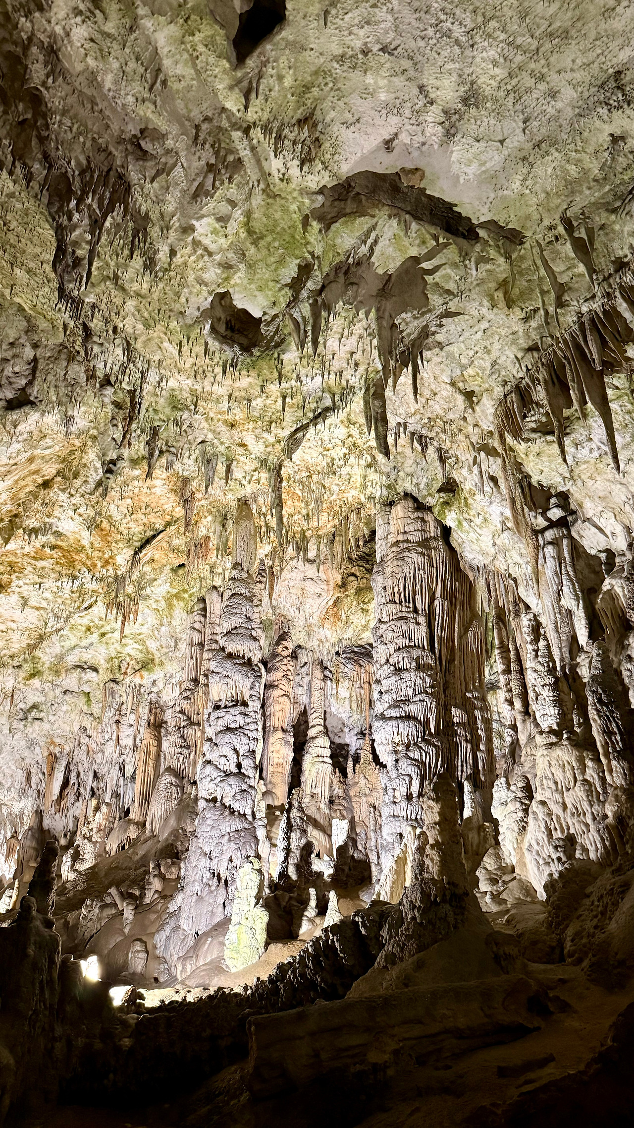 포스토이나 (2).jpg