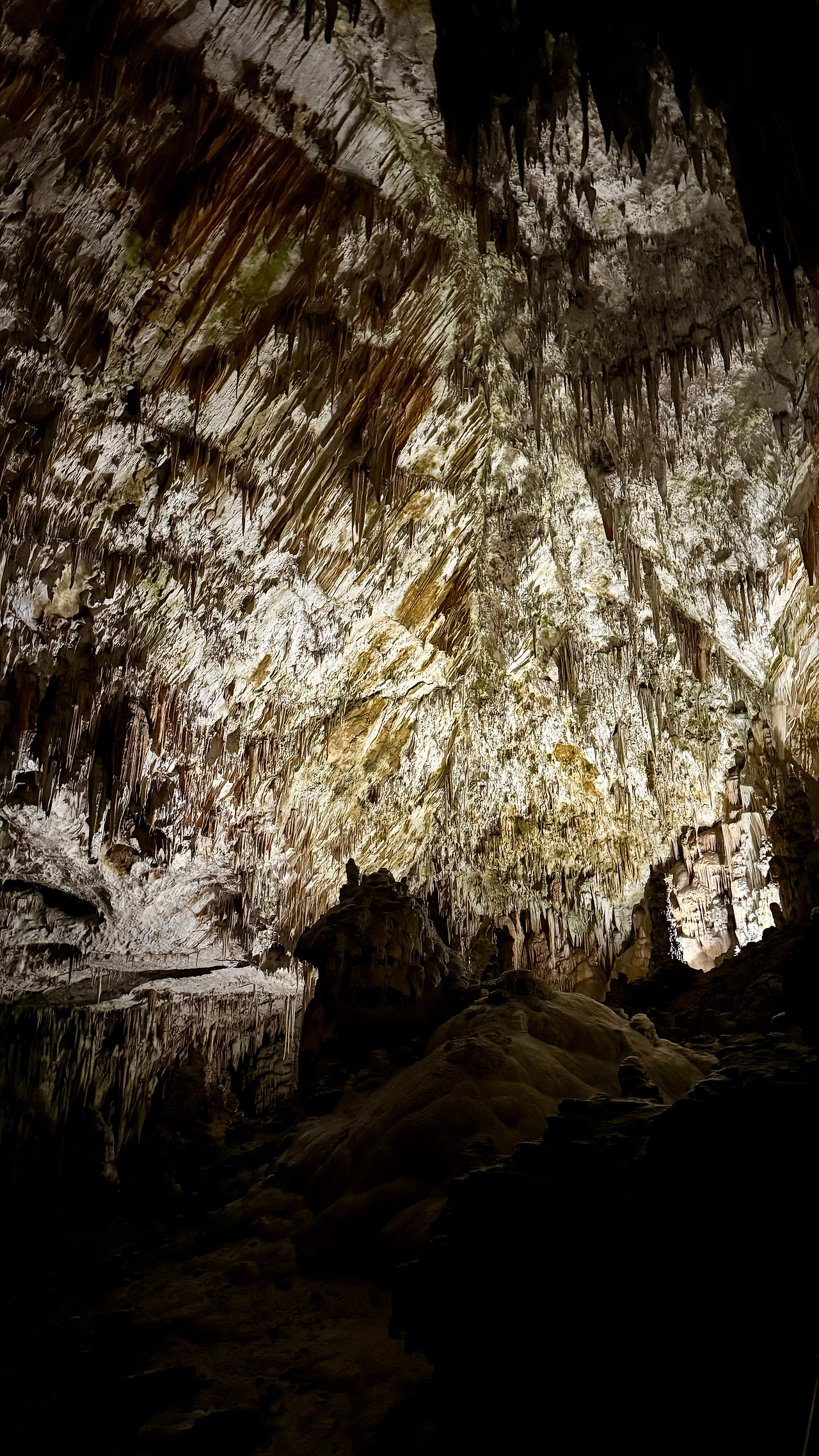 포스토이나 (3).jpg