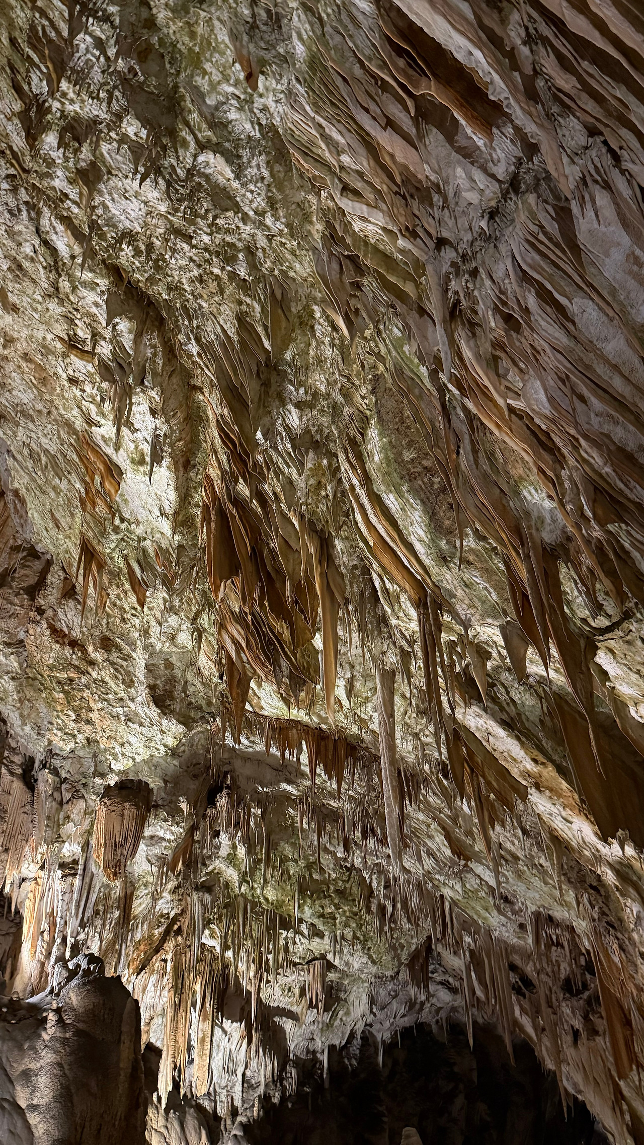 포스토이나 (6).jpg