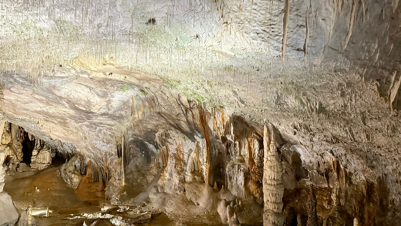 포스토이나 (8).jpg