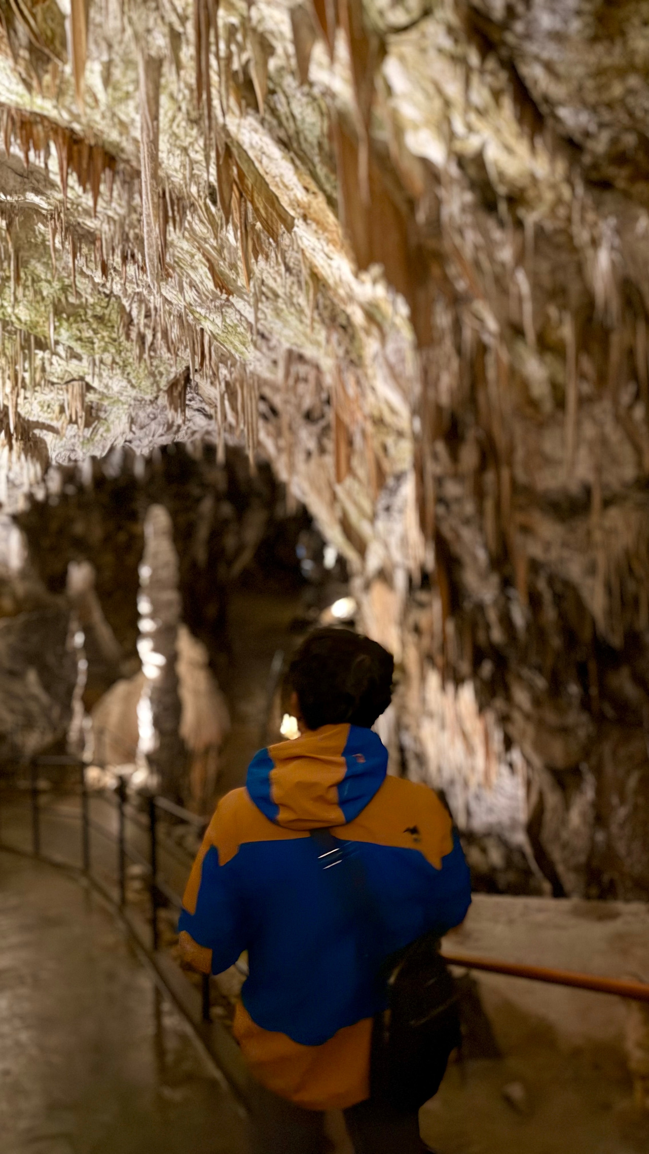 포스토이나 (7).jpg