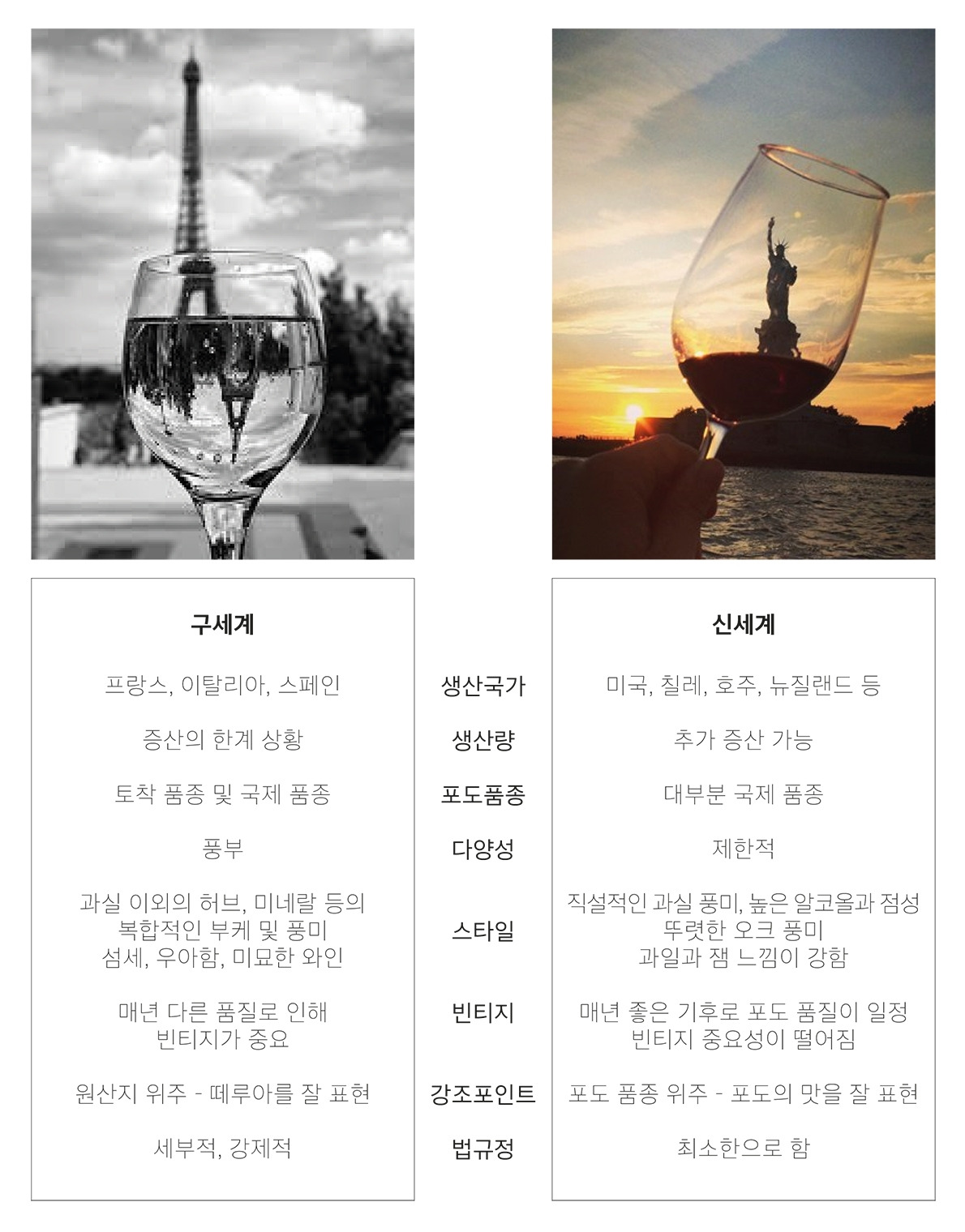 wine 구세계 신세계 비교.jpg