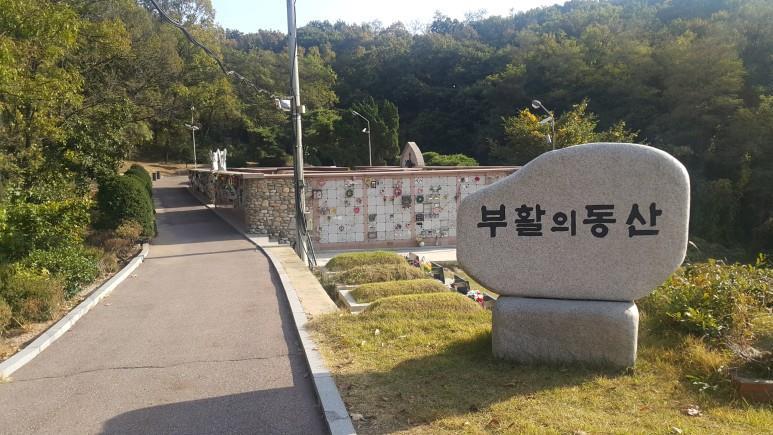 부활의 동산.jpg