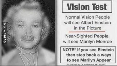 비젼 테스트 아인슈타인.jpg