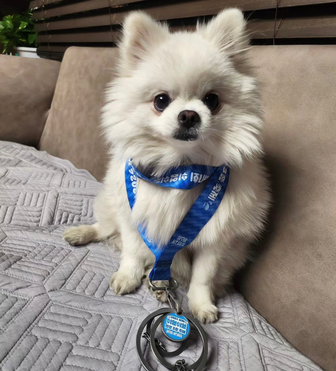 설이 철인3종 목걸이.jpg