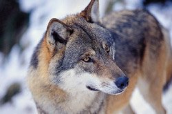 다운로드 (16).jpg