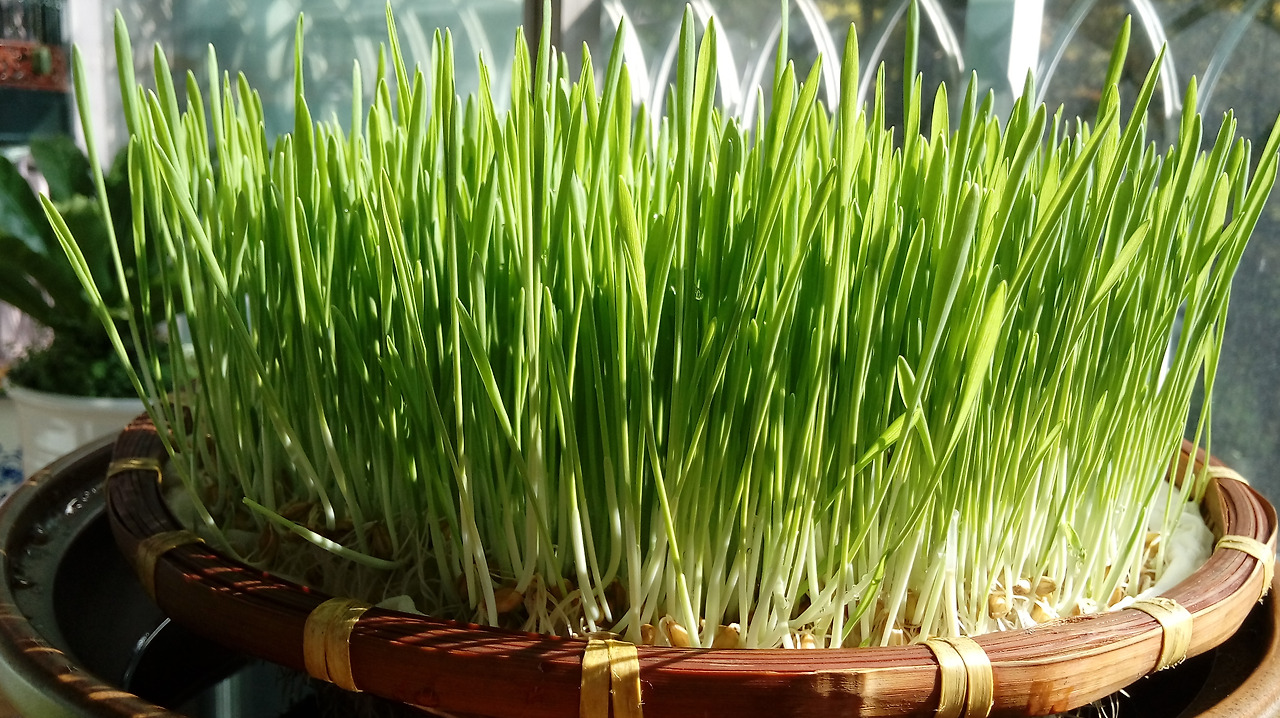 20201017_101228 - 복사본.jpg