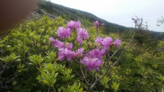 다운로드 (18).jpg