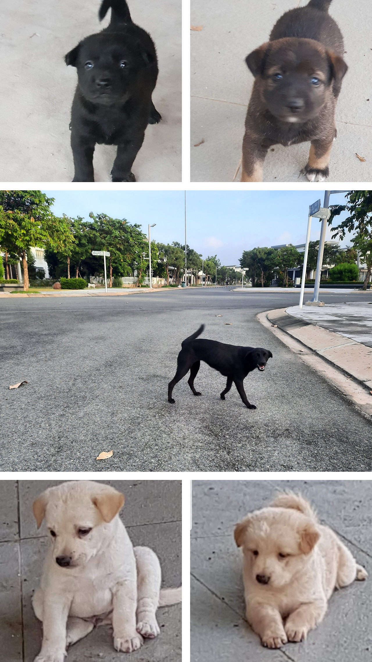 20240804_신우 가족_154312-COLLAGE.jpg