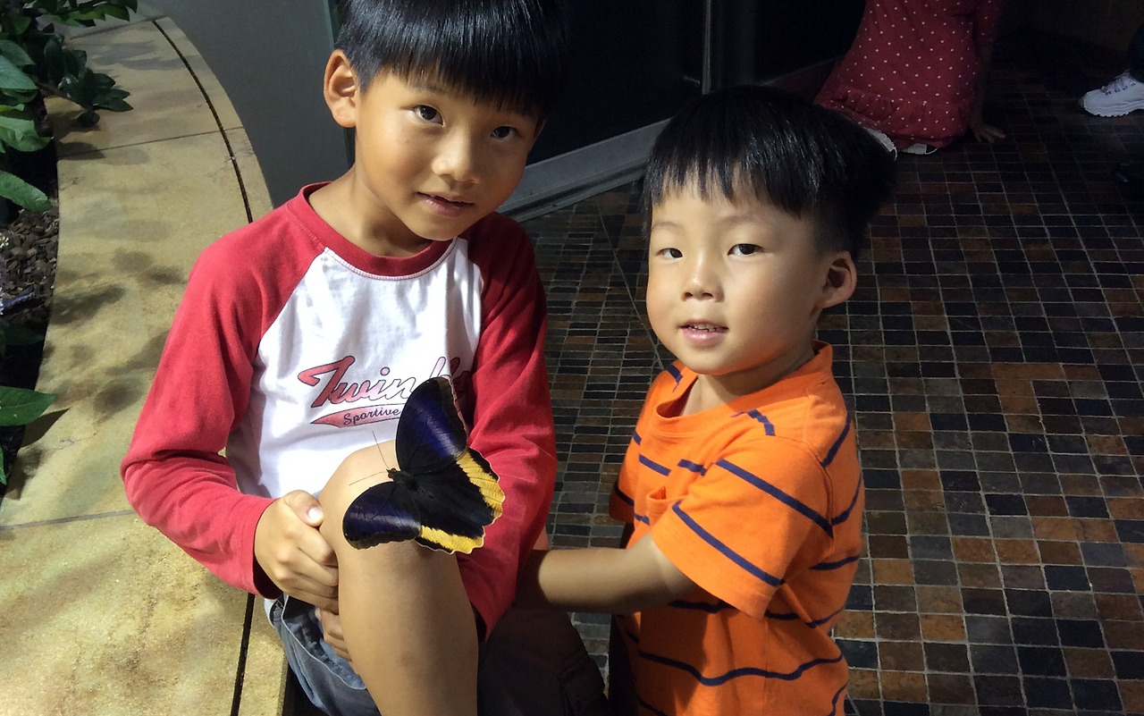 2014-06-24 17.39.55.jpg