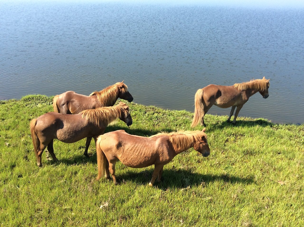 2014-06-16 09.38.52.jpg