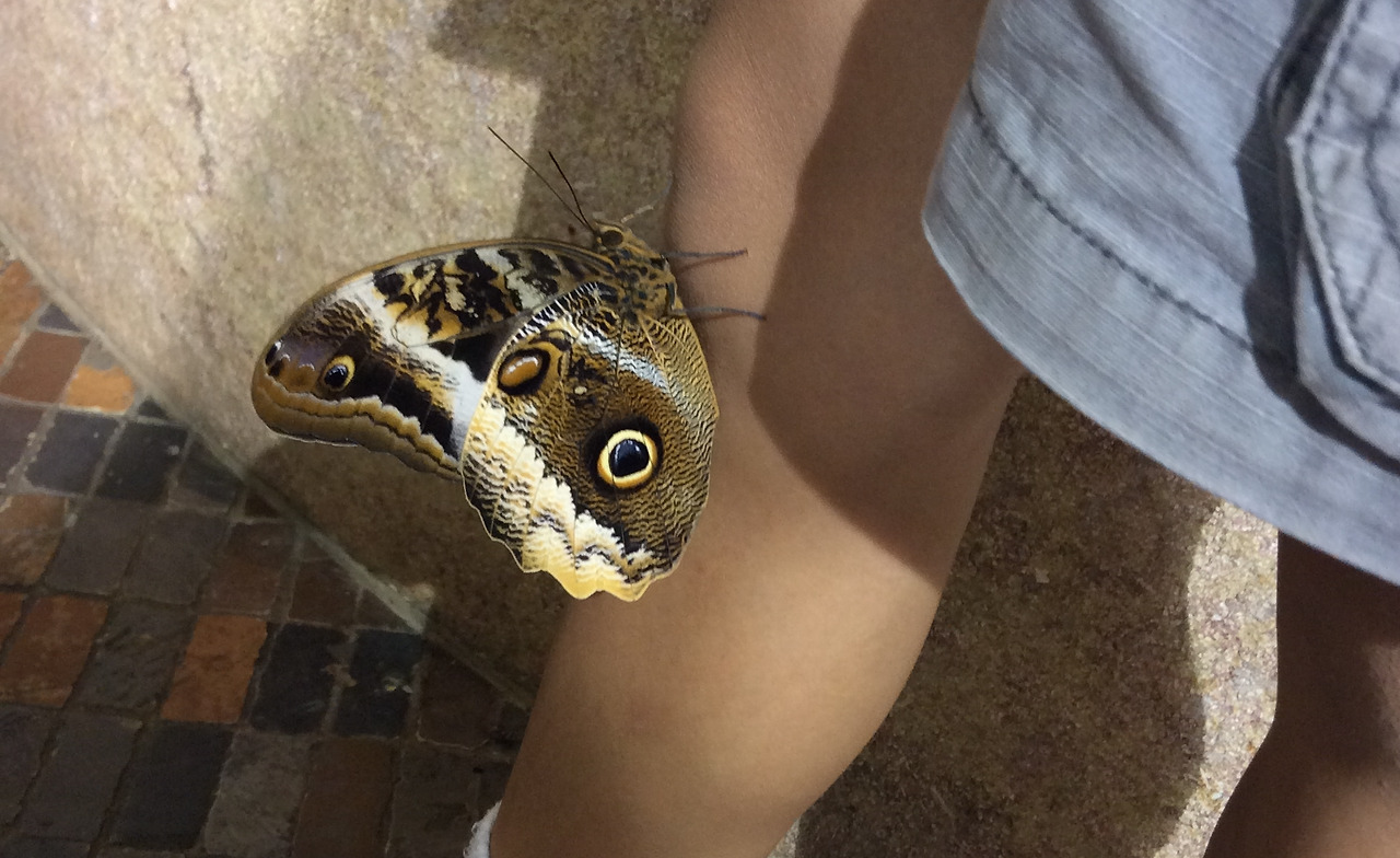 2014-06-24 17.36.28.jpg