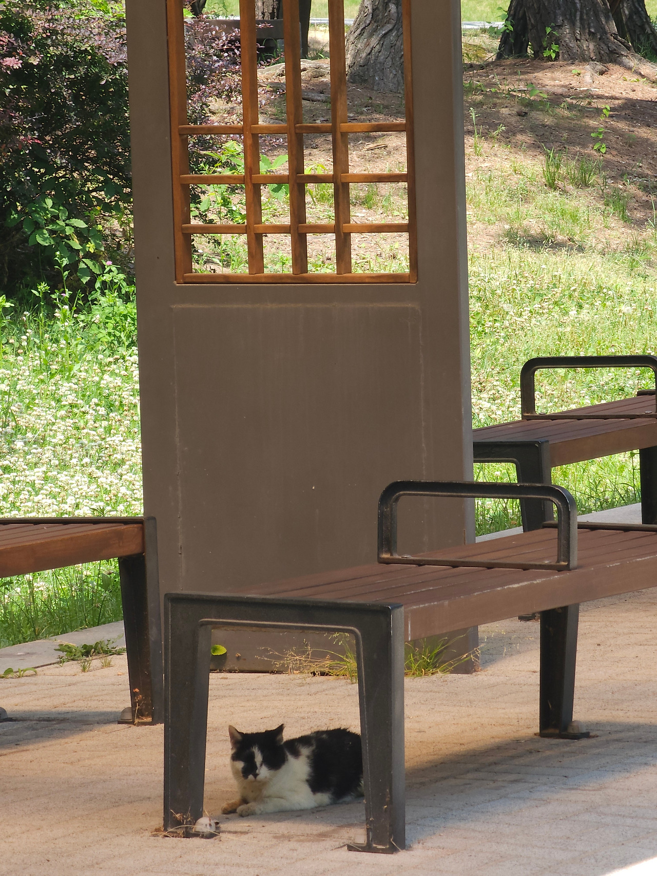 KakaoTalk_20240612_172131781_01 (1).jpg