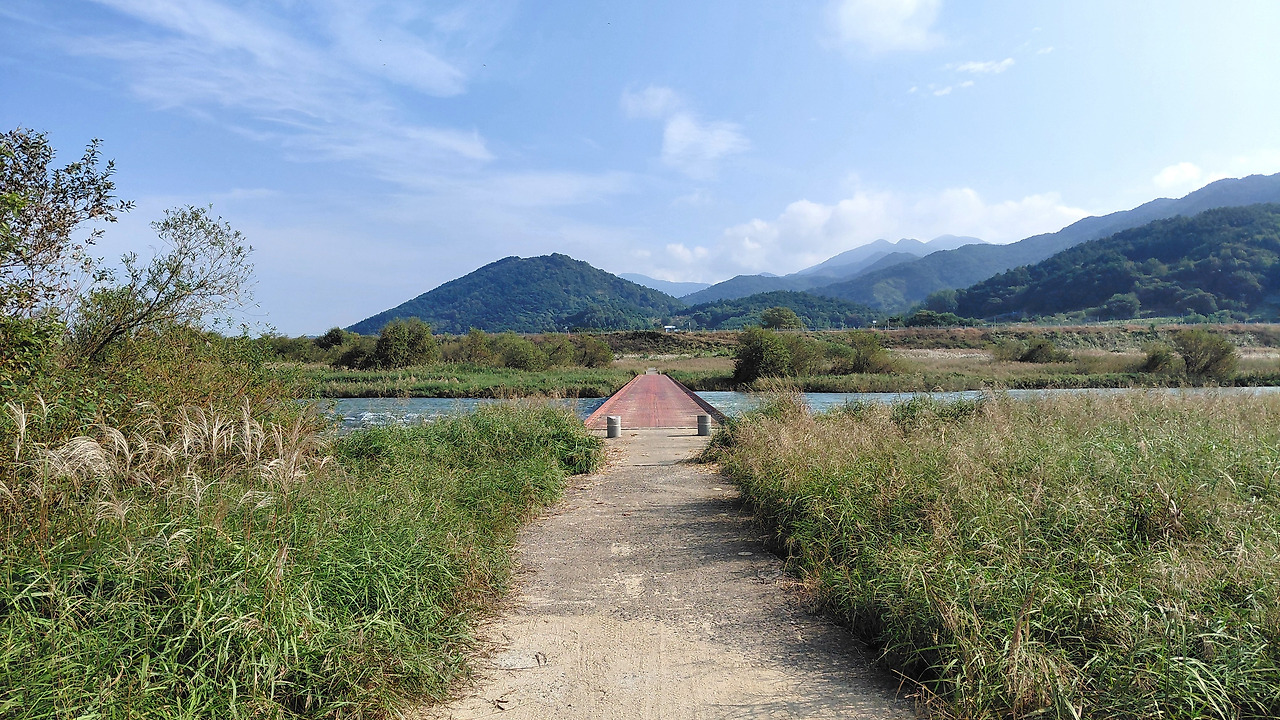 곡성여행 습지.jpg