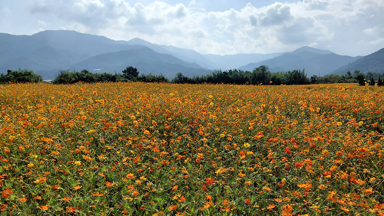 곡성여행 동화정원1.jpg