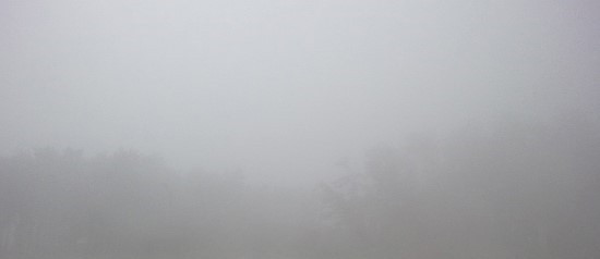 다운로드 (37).jpg