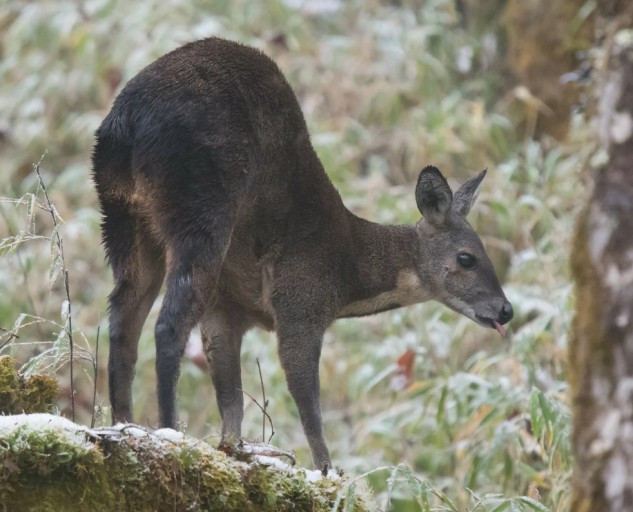 다운로드 (31).jpg